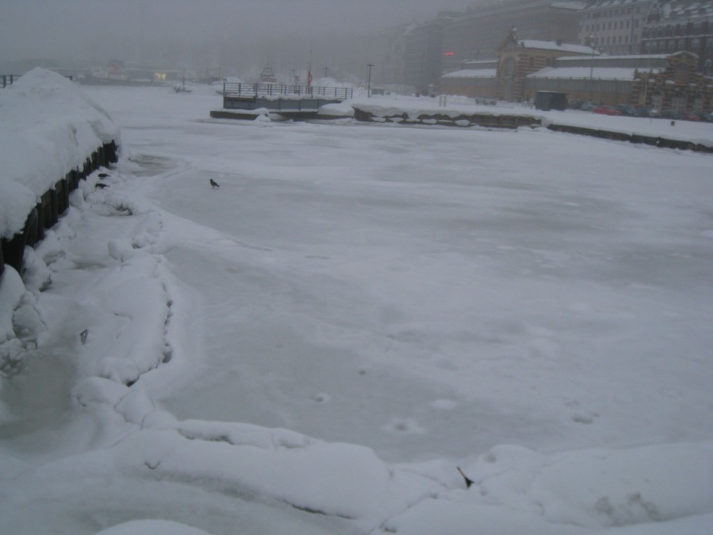 The sea freezes here. It's astounding to me.