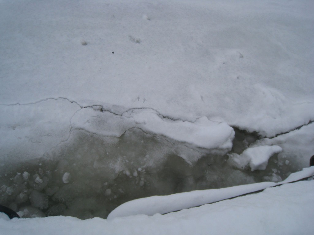 the edge of the sea where it's water...